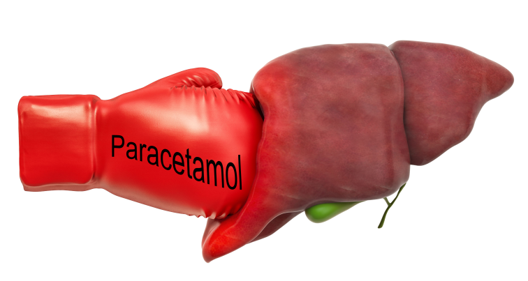 Paracetamol affect the liver